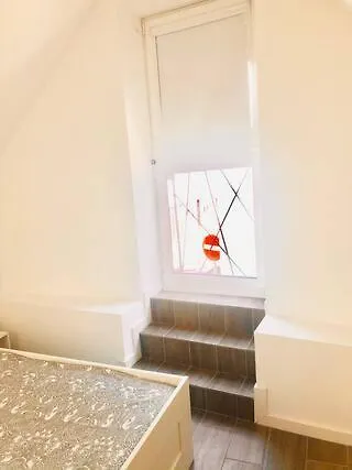 Cantinho Do Mercado * Aveiro